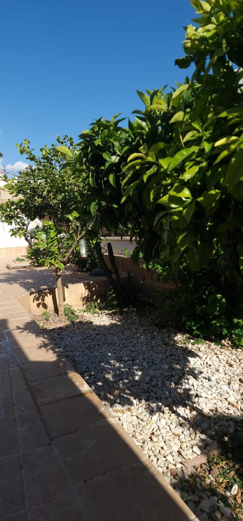 Apartamento Maestranza Berja Exterior foto